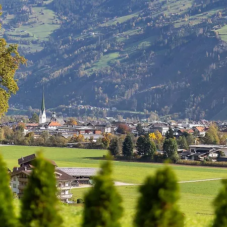 Zellblick