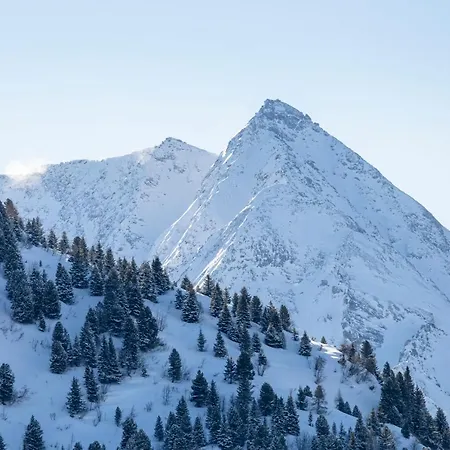 Zellblick * Zellberg